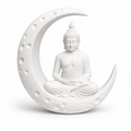 Buddha on the Moon